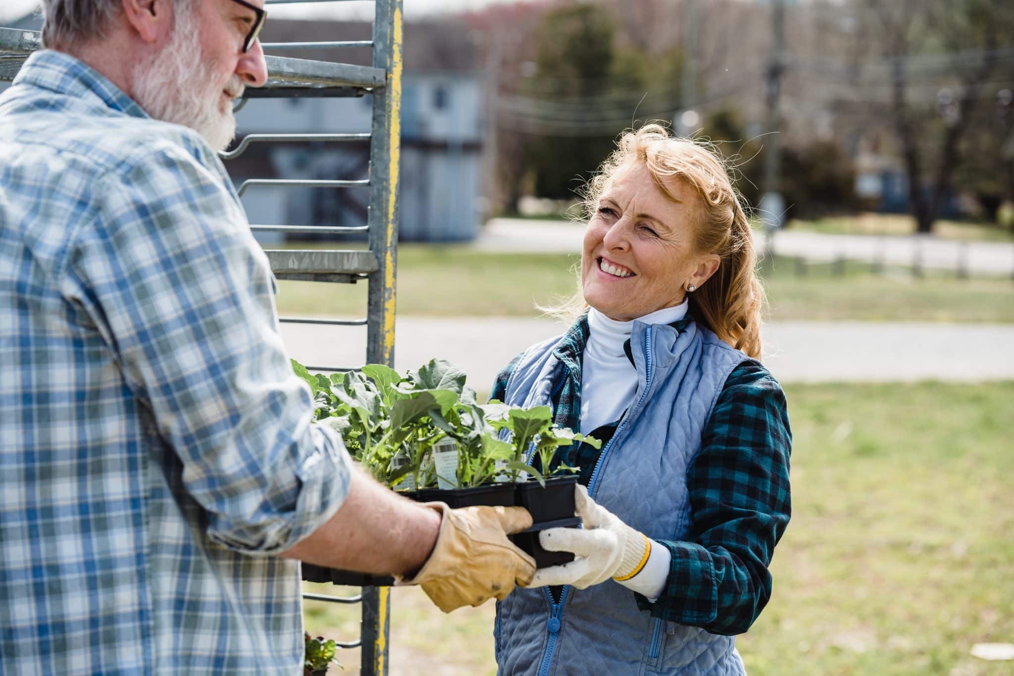 Older couple gardening outside.