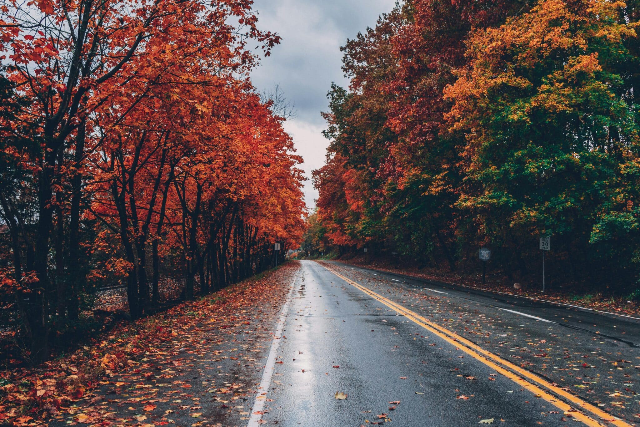 Autumn day on the road with red leaves on trees and rain.
